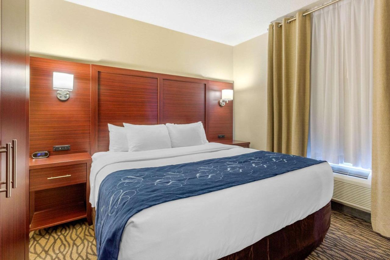 Comfort Suites Downtown Windsor Eksteriør bilde